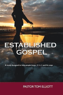 bokomslag Established in the Gospel