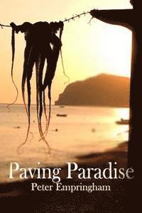 bokomslag Paving Paradise