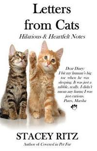 bokomslag Letters from Cats: Hilarious & Heartfelt Notes