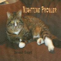 bokomslag Nighttime Prowler