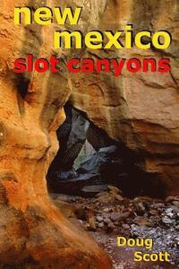 bokomslag New Mexico Slot Canyons