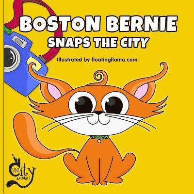 Boston Bernie Snaps the City: Join Bernie the cat as he explores Boston and takes the best photos! 1