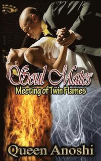 bokomslag Soul Mates: Meeting of Twin Flames
