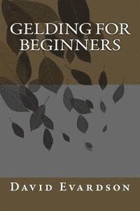 Gelding For Beginners 1