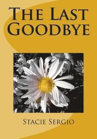 bokomslag The Last Goodbye