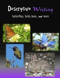 bokomslag Descriptive Writing
