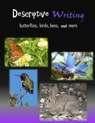 bokomslag Descriptive Writing
