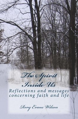 bokomslag The Spirit Inside Us: Reflections and messages concerning faith and life