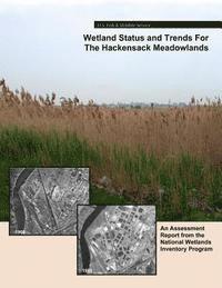 bokomslag Wetland Status and Trends for the Hackensack Meadowlands: An Assessment Report from the U.S. Fish and Wildlife Service's National Wetlands Inventory P