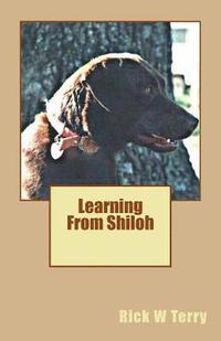 bokomslag Learning From Shiloh