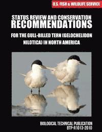 bokomslag Status Review and Conservation Recommendations for the Gull-billed Tern (Gelochelidon nilotica) in North America