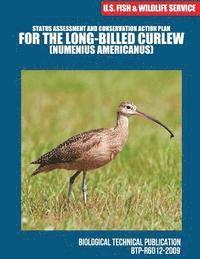 bokomslag Status Assessment and Conservation Action Plan for the Long-billed Curlew (Numenius americanus)