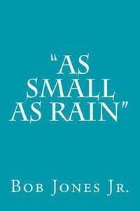 bokomslag 'As Small as Rain'