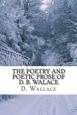 P. McCarty Phd - The Poetry and Poetic Prose of D. B. Walace, Häftad
