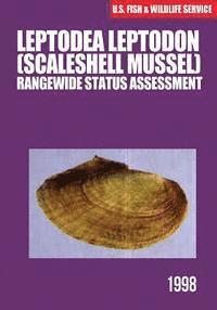 bokomslag Leptodea leptodon (Scaleshell Mussel) Rangewide Status Assessment