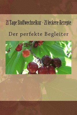 bokomslag 21 Tage Stoffwechselkur - 21 leckere Rezepte