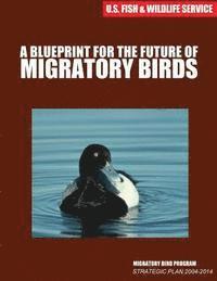 bokomslag A Blueprint for the Future of Migratory Birds: Migratory Bird Program Strategic Plan 2004-2014