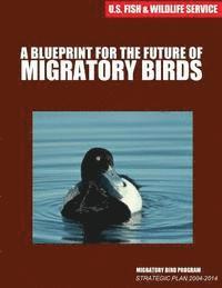 A Blueprint for the Future of Migratory Birds: Migratory Bird Program Strategic Plan 2004-2014 1