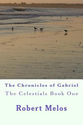 bokomslag The Chronicles of Gabriel