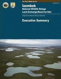 Izembek National Wildlife Refuge: Land Exchange/Road Corridor 1