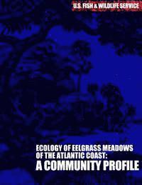 bokomslag The Ecology of Eelgrass Meadows of the Atlantic Coast: A Community Profile