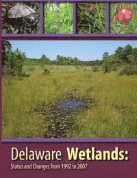 bokomslag Deleware Wetlands: Status and Changes from 1992 to 2007