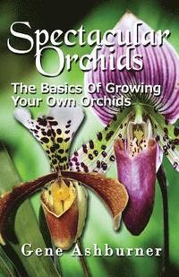 bokomslag Spectacular Orchids: The Basics Of Growing Your Own Orchids