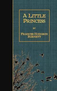 bokomslag A Little Princess