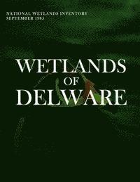 bokomslag Wetlands of Deleware