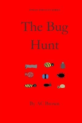 The Bug Hunt: Finlay and Lucy Series, fiction, children, pre-school, picture book 1