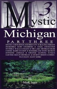 bokomslag Mystic Michigan Part 3
