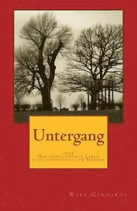 bokomslag Untergang oder Das unbeschwerte Leben eines ahnungsvollen Narren