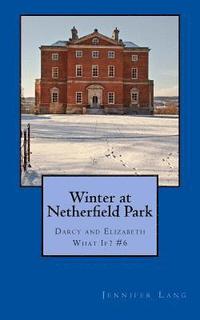 bokomslag Winter at Netherfield Park: Darcy and Elizabeth What If? #6