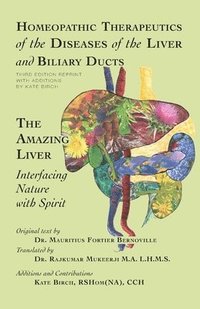 bokomslag Homeopathic Therapeutics of the Diseases of the Liver and Biliary Ducts