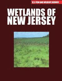 bokomslag Wetlands of New Jersey