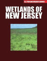 Wetlands of New Jersey 1