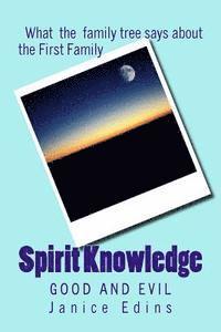 bokomslag Spirit Knowledge: Good and Evil