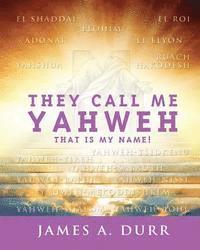 bokomslag They Call Me Yahweh: "That Is My Name"