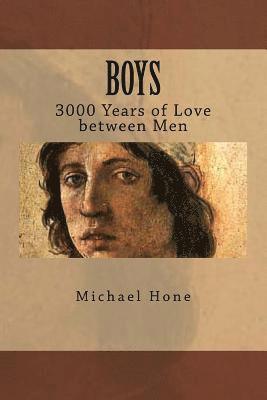 bokomslag Boys: 3000 Years of Love between Men