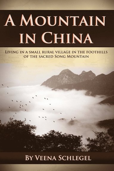 bokomslag Mountain in China