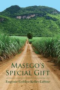 bokomslag Masego's Special Gift