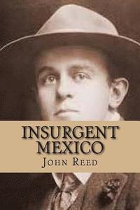 bokomslag Insurgent Mexico