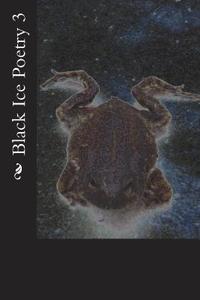 bokomslag Black Ice Poetry 3