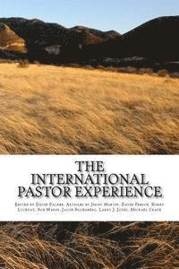 bokomslag The International Pastor Experience: Testimonies from the Field