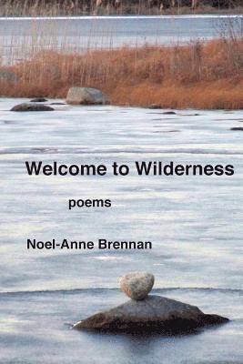 bokomslag Welcome to Wilderness: poems