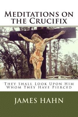 bokomslag Meditations on the Crucifix