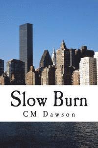 bokomslag Slow Burn
