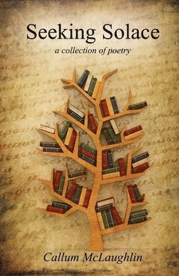 Callum McLaughlin - Seeking Solace, Häftad
