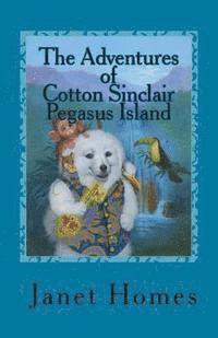 bokomslag The Adventures of Cotton Sinclair Pegasus Island