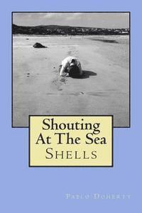 bokomslag Shouting at the Sea: Shells